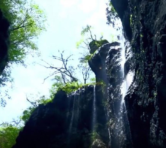青山綠水，白龍江畔江畔息白鷺，兩岸綠橄欖入眼的都是純樸自然枝上花開(kāi)，春來(lái)水暖魚(yú)蝦戲水，鳥(niǎo)語(yǔ)花香心中充滿(mǎn)著舒暢之感祥宇生態(tài)產(chǎn)業(yè)園，位于隴南市武..